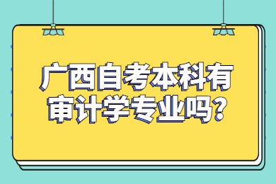 广西自考本科有审计学专业吗?